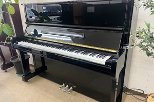 YAMAHA　U100の画像