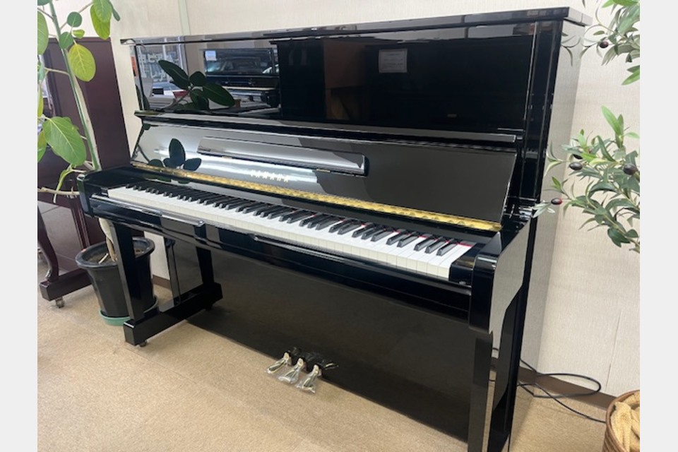 YAMAHA　U100の画像